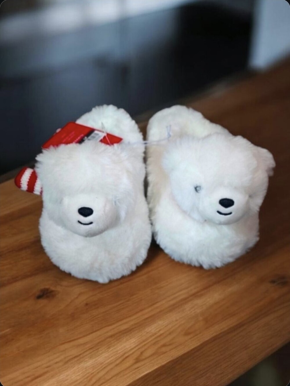 Wondershop polar bear kids slippers Size 6-7